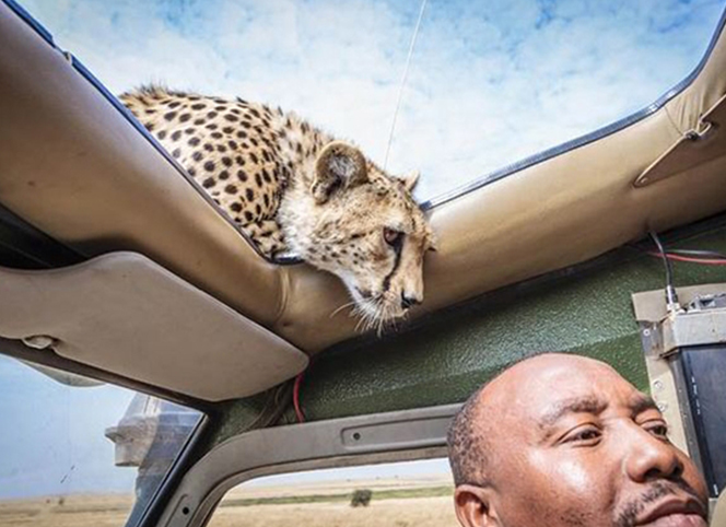 前方危險(xiǎn)！請(qǐng)注意安全！